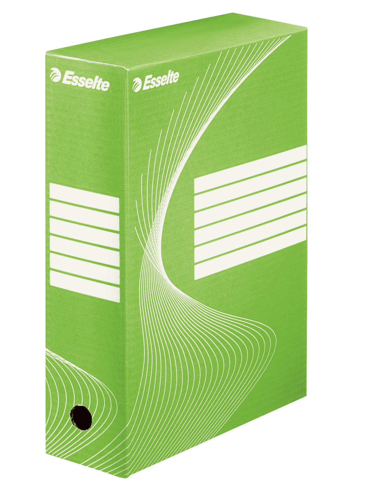Pudło archiwizacyjne Esselte Standard 100mm zielone