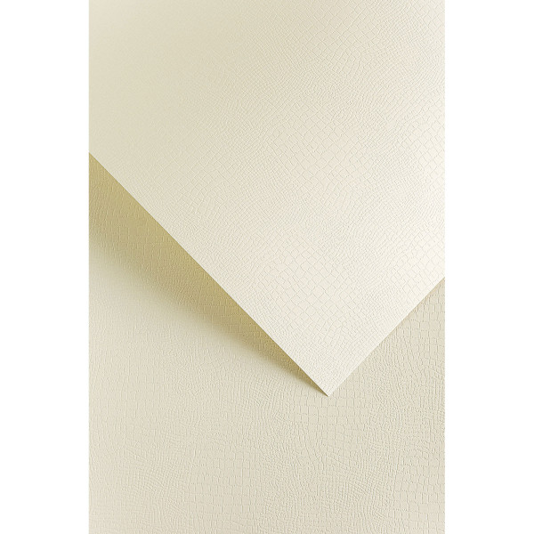 Papier wizytówkowy A4 Borneo kremowy 20szt. 220g. Argo