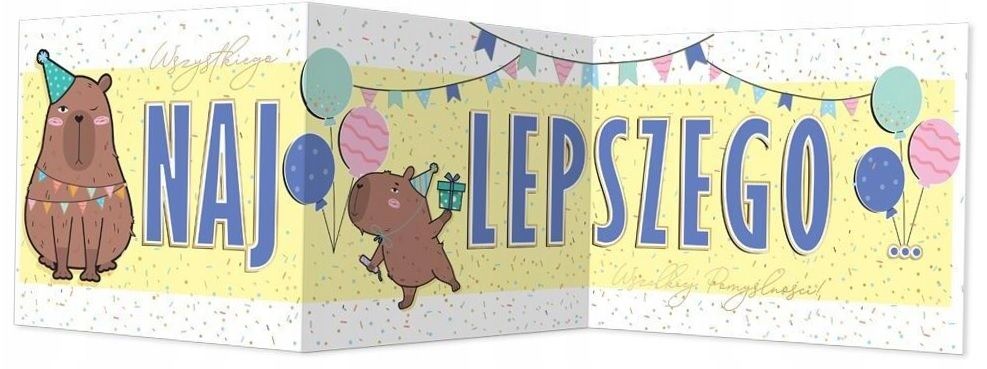 Karnet B6 składany Kapibara Henry