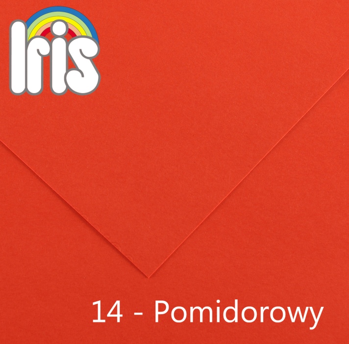 Karton 70x100 235/240g pomidorowy Canson