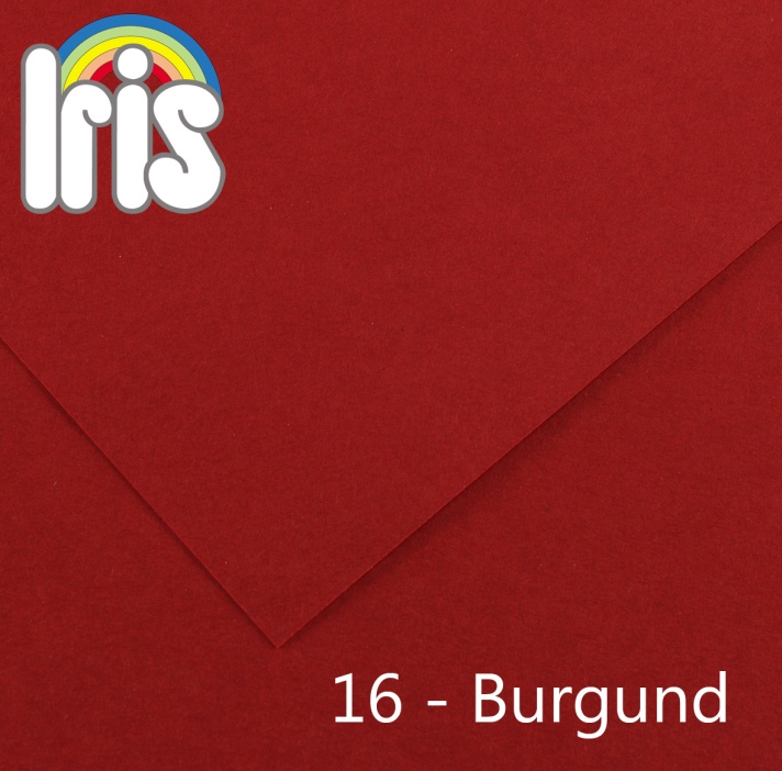 Karton 70x100 235/240g Canson burgundowy