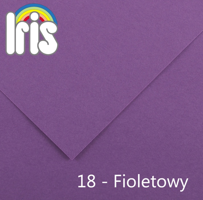 Karton 70x100 235/240g fioletowy Canson