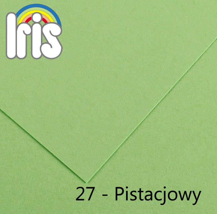 Karton 70x100235/240g pistacjowy Canson
