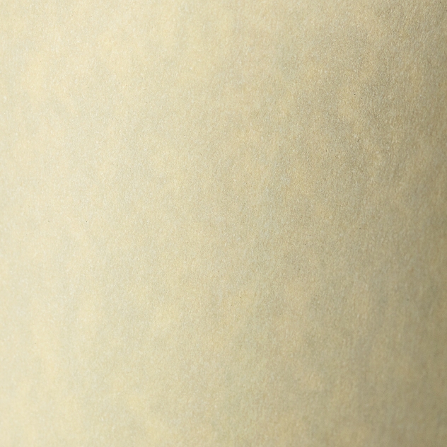 Papier wizytówkowy A4 Granit kremowy 20szt. 250g. Argo