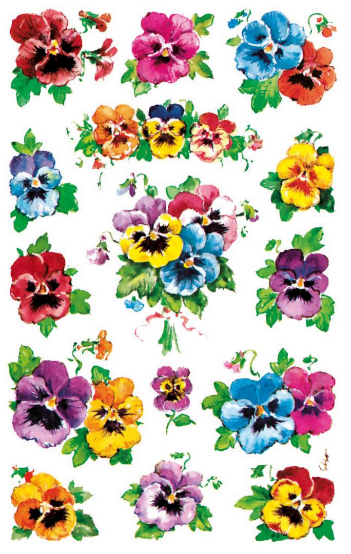 Naklejki Z-Design Creative bratki 4398 Avery