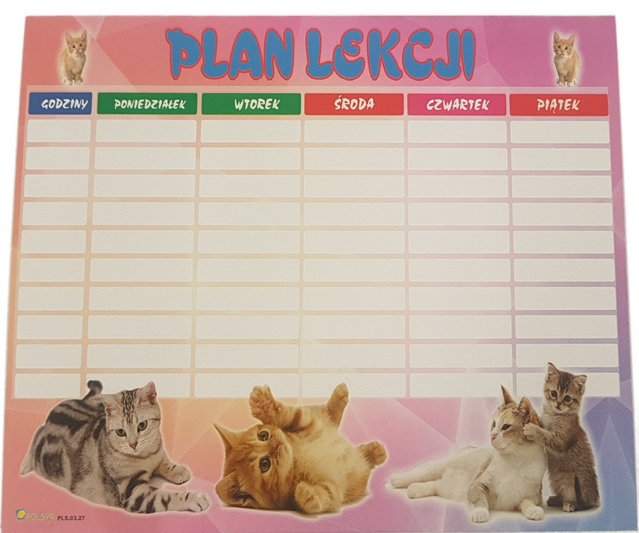 Plan lekcji  A5 (1szt.) Polsyr