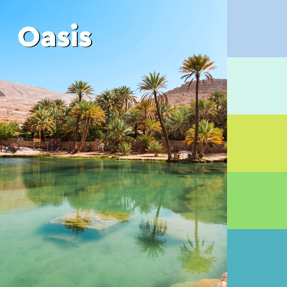 Karteczki samoprzylepne Post-it Super Sticky XL Oasis w linię 101x101mm 3x70