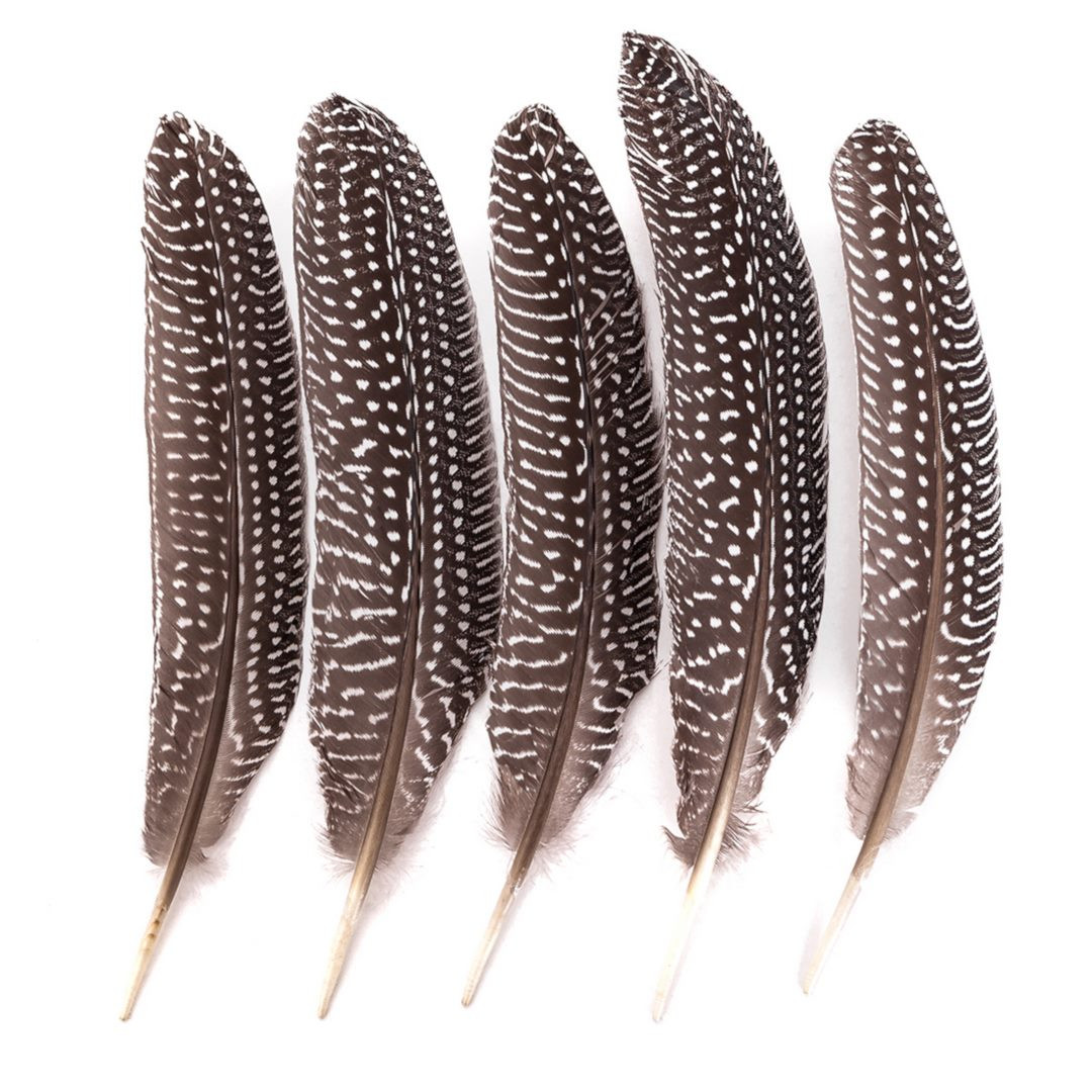 Pióra bażanta 8-20cm (5szt.) CEPI-107 Dalprint