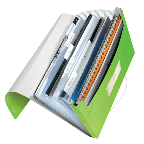 Teczka z 6 przegródkami A4 Leitz WOW zielona