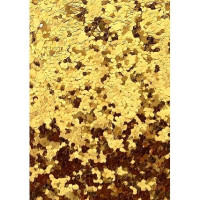 Karton cekinowy złoty A4 210g/m2 op/5szt 208506 Argo