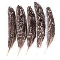 Pióra bażanta 8-20cm (5szt.) CEPI-107 Dalprint
